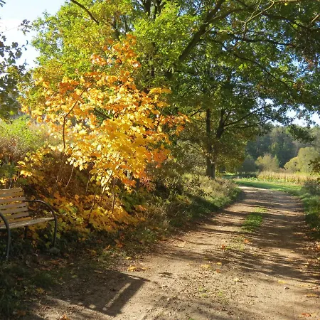 Gaestehaus Schulz Апартаменты *